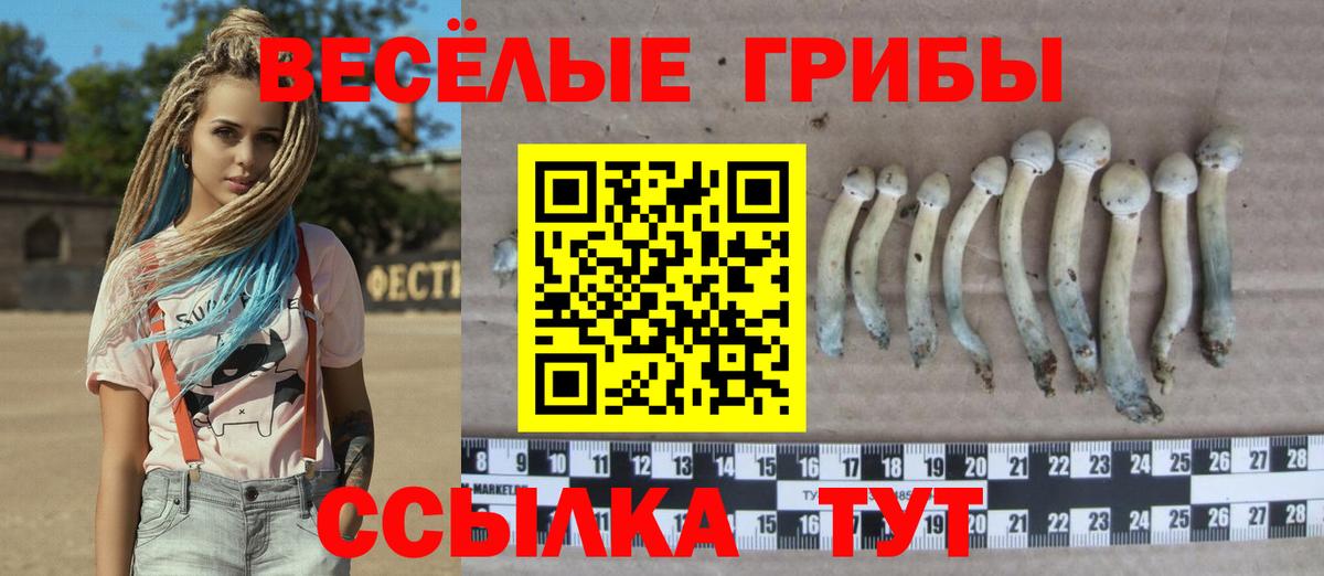 Галлюциногенные грибы мицелий Рузаевка